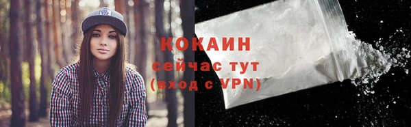 spice Ладушкин