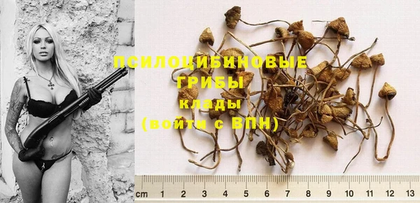прущий лед Кулебаки