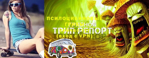 героин Лагань