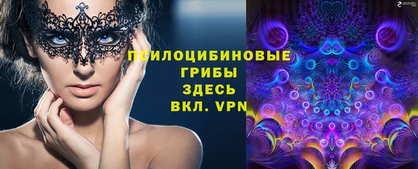 spice Ладушкин