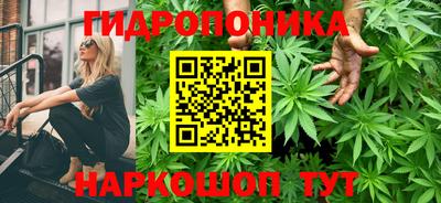 крисы Гусь-Хрустальный