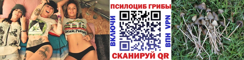 mega как войти  где найти наркотики  Киров  Галлюциногенные грибы GOLDEN TEACHER 