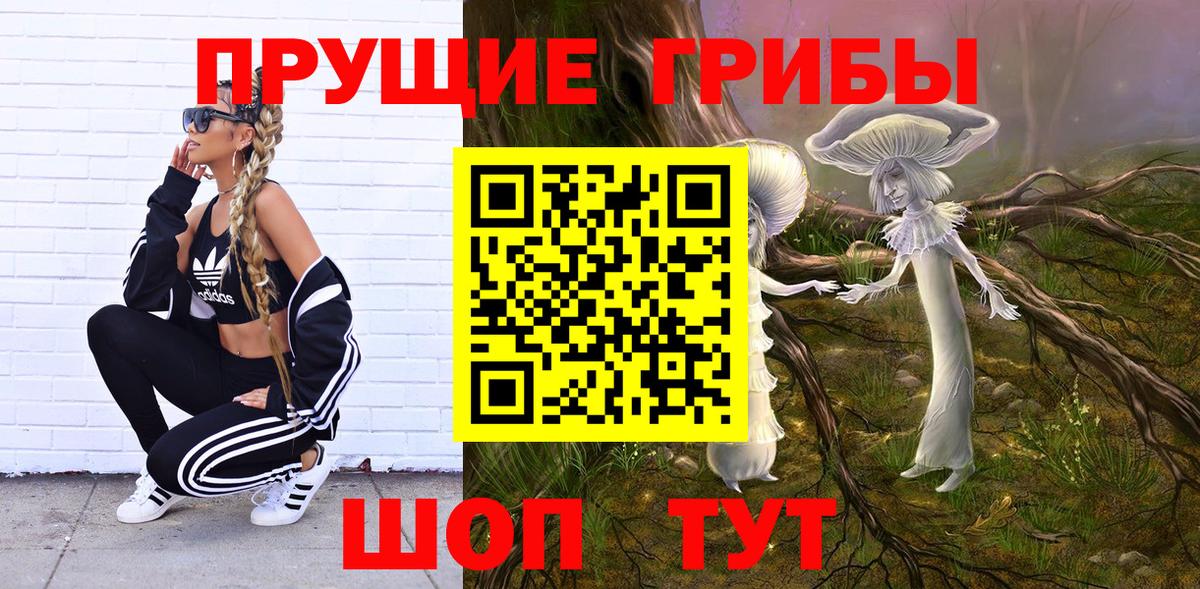 Киров  Галлюциногенные грибы прущие грибы  наркошоп  Вход с VPN 